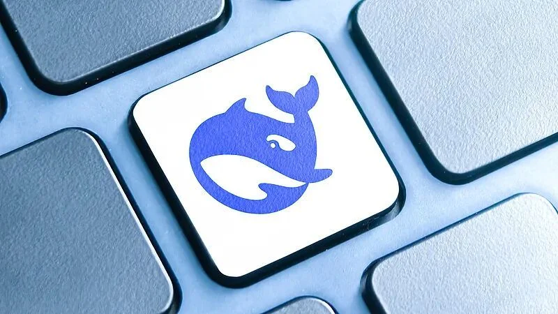 DeepSeek网页版长文定位与要点摘录的场景旁证